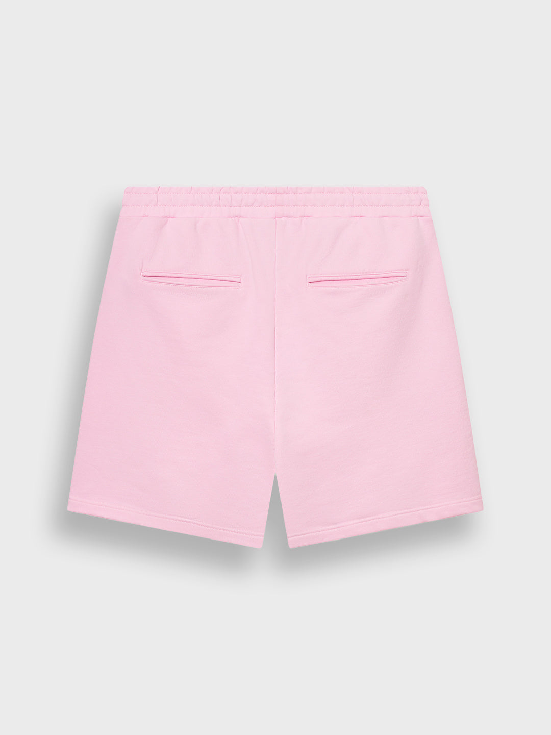 Packshot DWC Jerr shorts Pink, achterkant