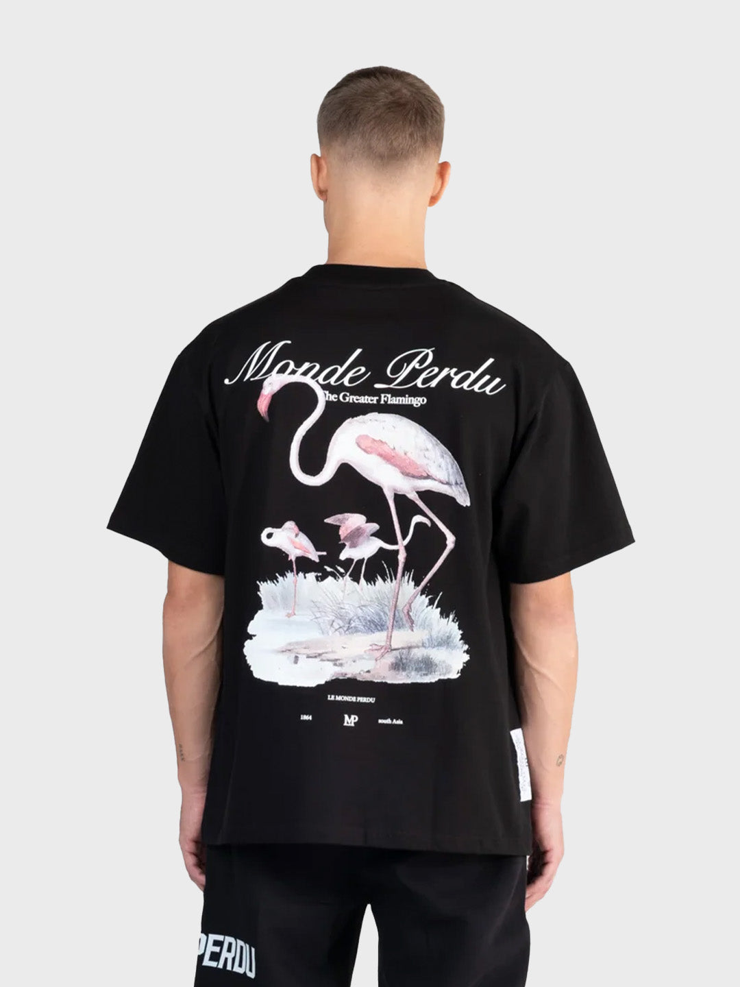 Le Monde Perdu Greater Flamingo T-Shirt Black - achterkant