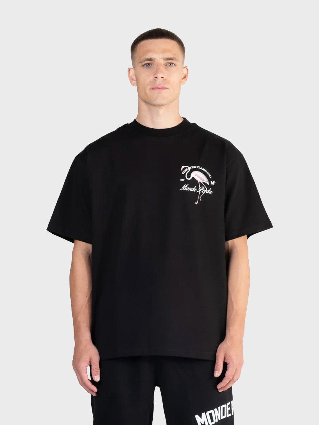 Le Monde Perdu Greater Flamingo T-Shirt Black - voorkant