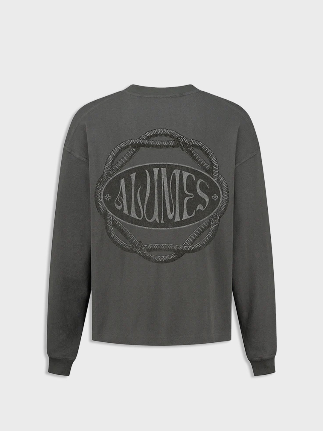 alumes oversized long sleeve t-shirt