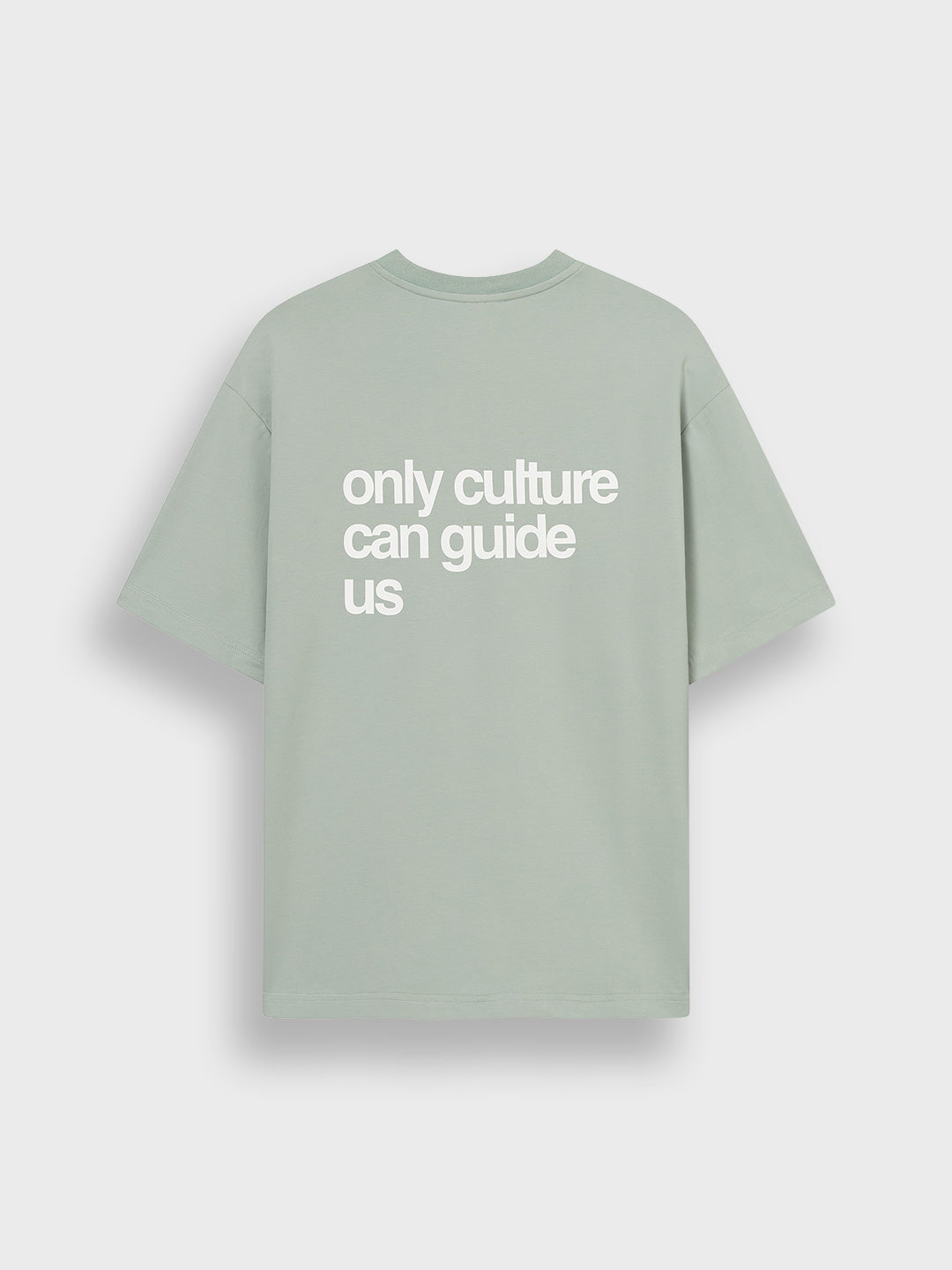 Don't Waste Culture Oshimi T-Shirt Turquoise - achterkant