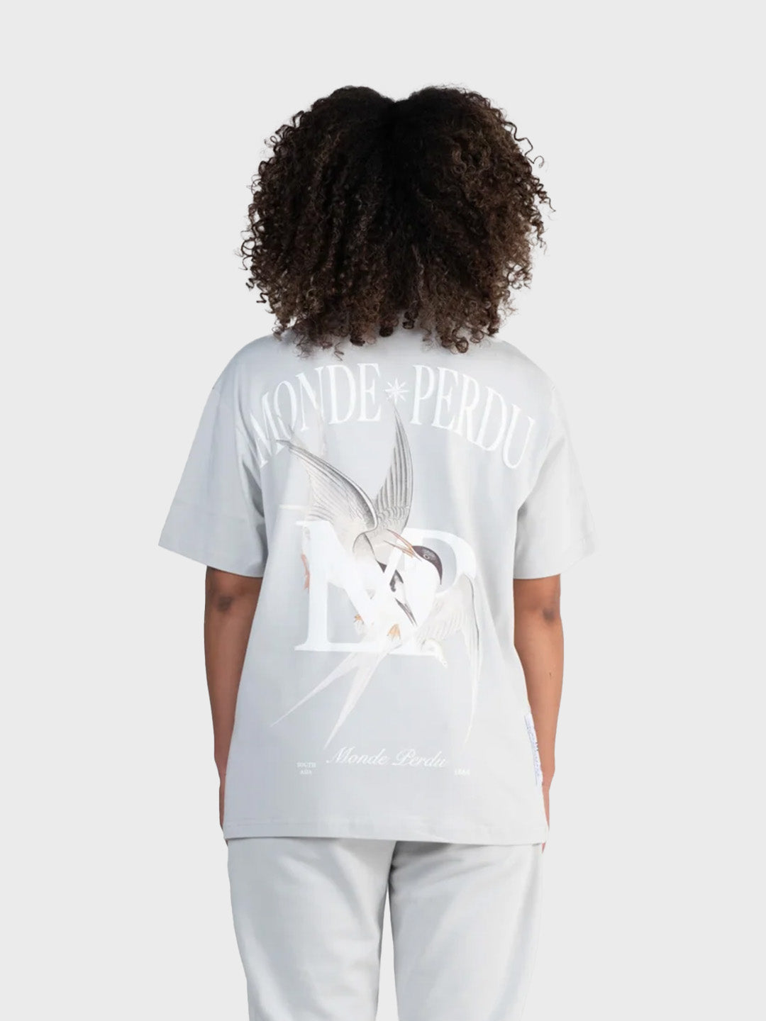 Le Monde Perdu Sterna T-Shirt Light Grey heren oversized t-shirt rug graphic Reloadstore