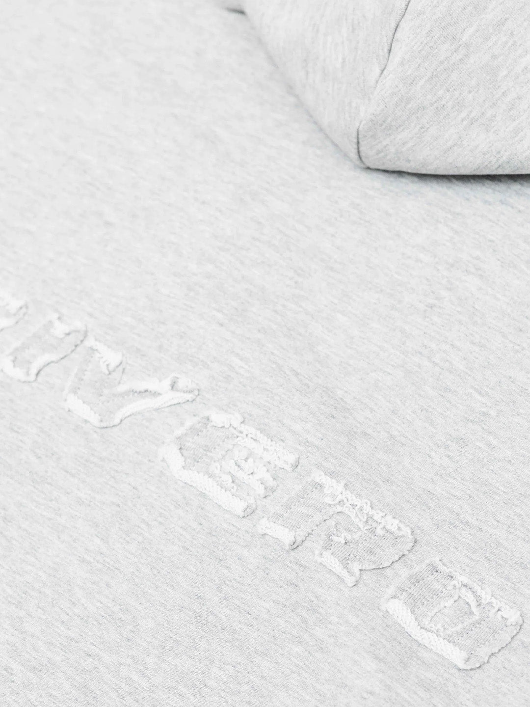 Rivero Urban Zip Hoodie Grey – close-up geborduurde graphic op rug