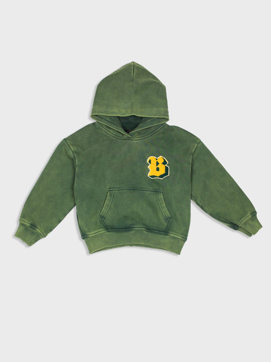 house of basicz hoodie kinderen groen
